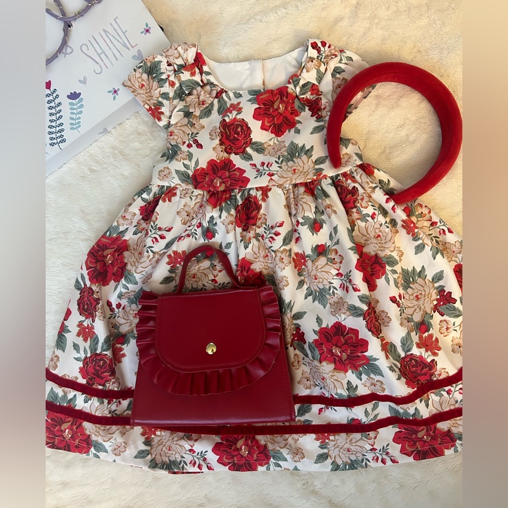 Catherine Malandrino 3T Girl Gown 3 piece set ❤️🎁